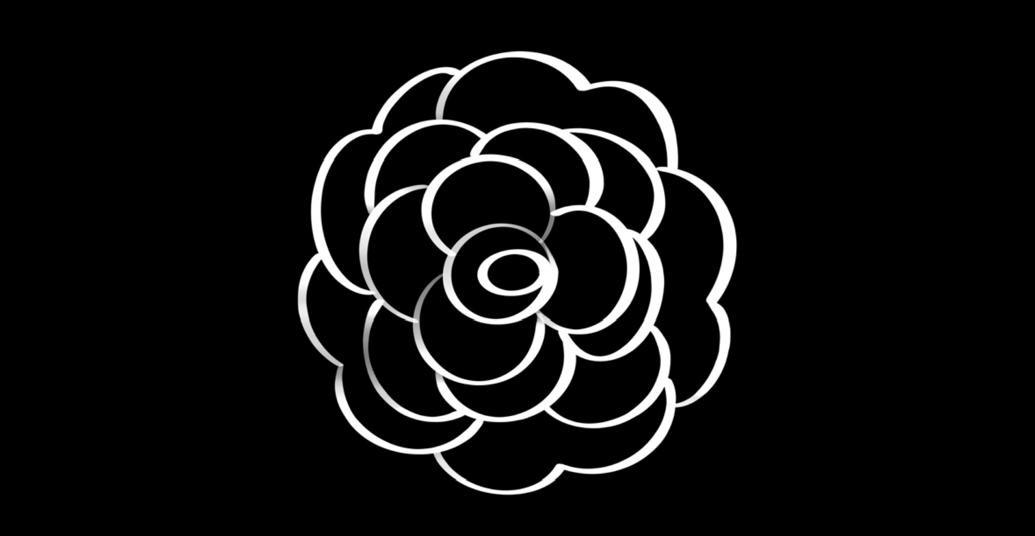 Camellia Cleaning Service